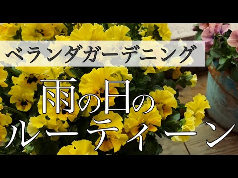 ミニマリストガーデン実践ガイド｜手間いらずでおしゃれな庭づくりを始めよう