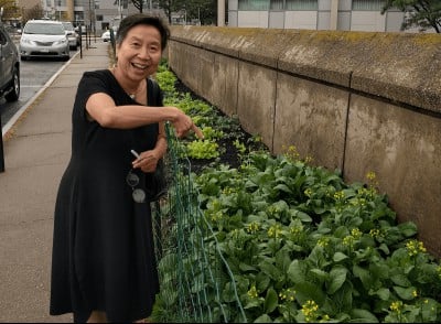 Anh Vu Sawyer at an urban garden planted at the Worcester Public Library in 2017. (Photo courtesy of Anh Vu Sawyer)