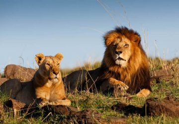 4 African Tourist Destinations