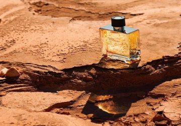 Discover Classic Perfumes: A Comprehensive Guide