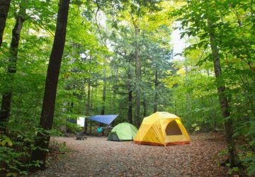 Discover Tranquility: 10 Gorgeous Camping Locations