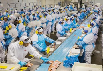 Preparing for an Automated World: 10 Jobs That AI Could Take Over