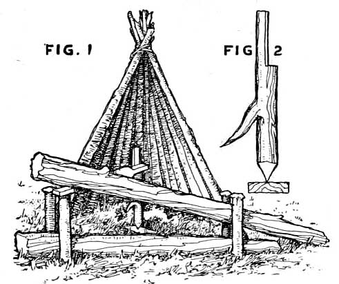 Trap Set for Beaver.