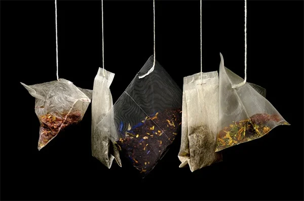 レモンの香りがする植物で庭を満たす！私が実践する失敗しない育て方とおすすめ品種7選