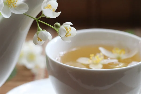 全日照に強い吊り下げバスケットのおすすめ植物5選