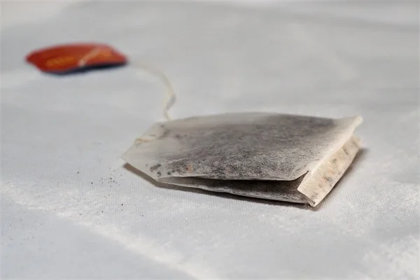 夏の日陰で長く咲く花5選｜私が実践した失敗しない選び方と育て方