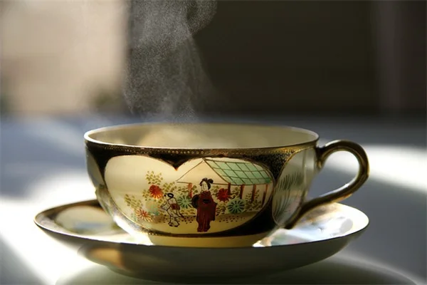 紅枝山茱萸の剪定：大きくなりすぎた低木を2つの方法で救う