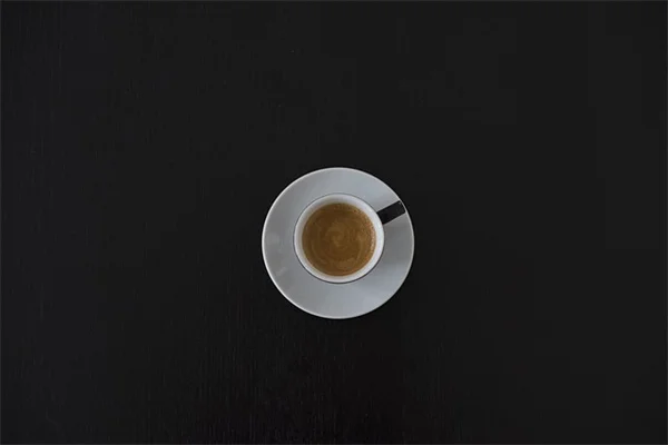 パーマカルチャーを始めた人物【ビル・モリソンとデイビッド・ホルムグレン】