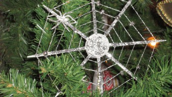Spider Webs