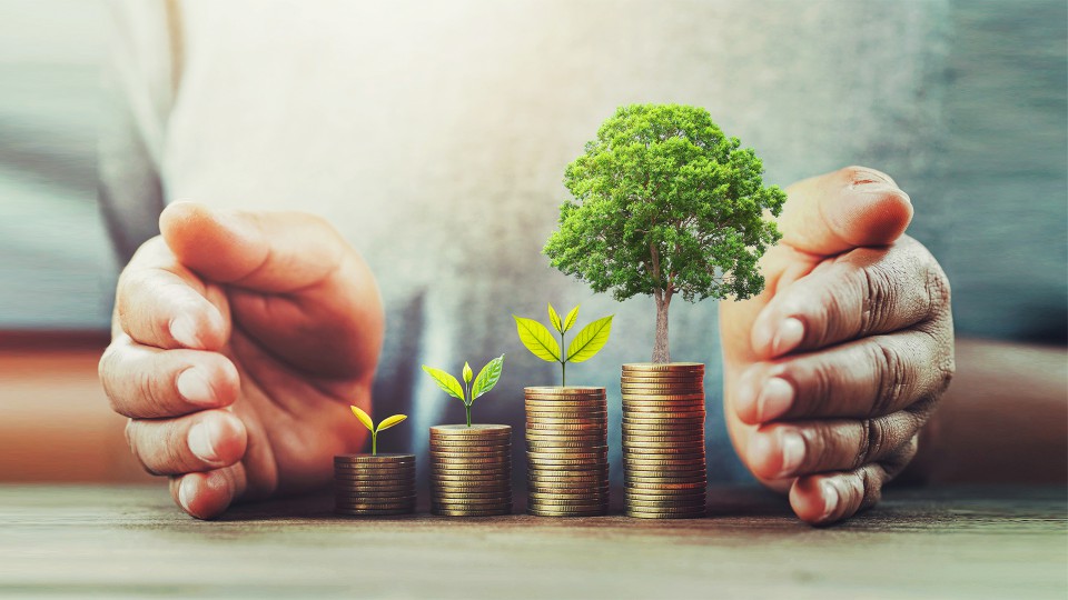 Aposentadoria Planejada: Estratégias Financeiras para Maximizar o Benefício do INSS Aposentadoria Planejada: Estratégias Financeiras para Maximizar o Benefício do INSS