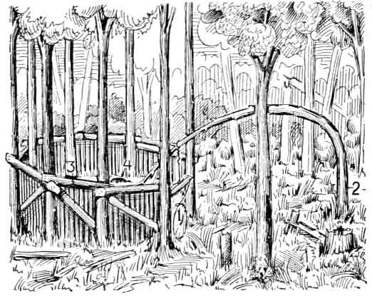 NORTHERN MINK TRAPPER'S SHANTY.