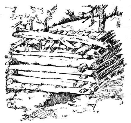 FOX TRAPS WITH DRAGS.