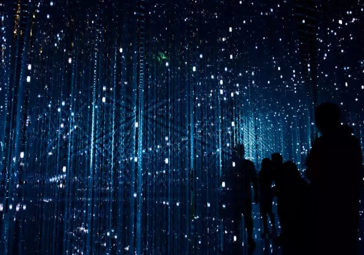 The Dark Web: Exploring the Hidden Internet