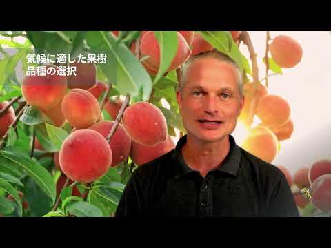 パーマカルチャー果樹園の設計と育て方のコツ