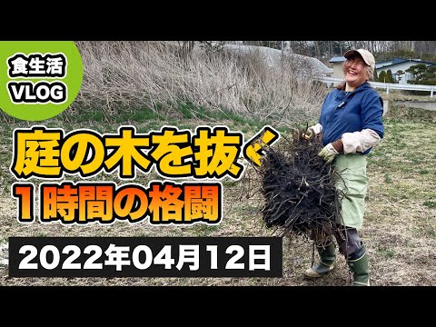 庭仕事のカロリー消費量と運動効果を徹底解説！効率的なやり方と注意点も