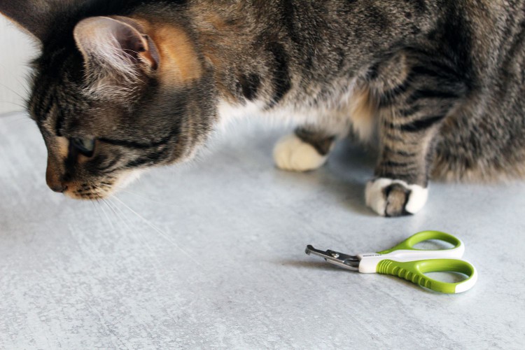 Shiny Pet Nail Clippers