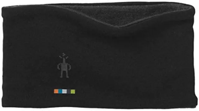 Smartwool Merino Headband 250