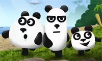 3Pandas