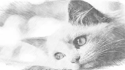 3 Free Online Tools to Turn Your Photos Into Sketches