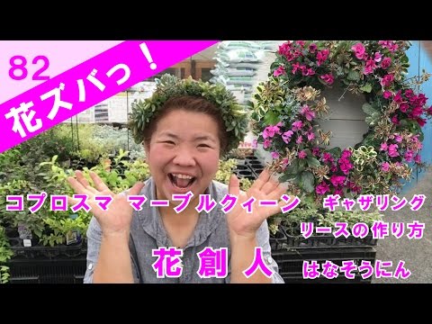 クイーンズ・リースの育て方　失敗しない3つのポイント
