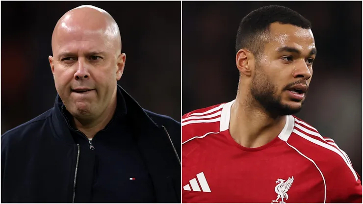 Arne Slot’s Liverpool reportedly close to sign a $118m Bundesliga star, clearing path for Cody Gakpo’s departure