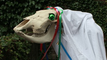 Mari Lwyd