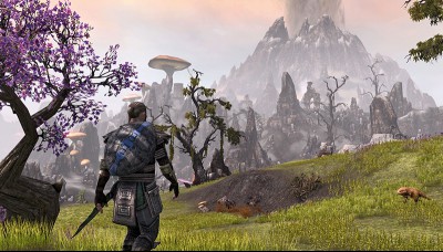 Bethesda Offers Fans a Chance to Be Immortalized in The Elder Scrolls 6
