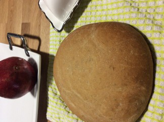 Wholesome Homemade Honey Whole Wheat Bread