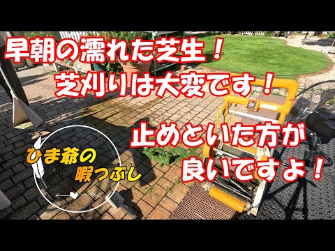 湿った芝生を刈ってもいい？実はダメージが残るから待つべき理由と湿った芝を刈る時のチェックリスト
