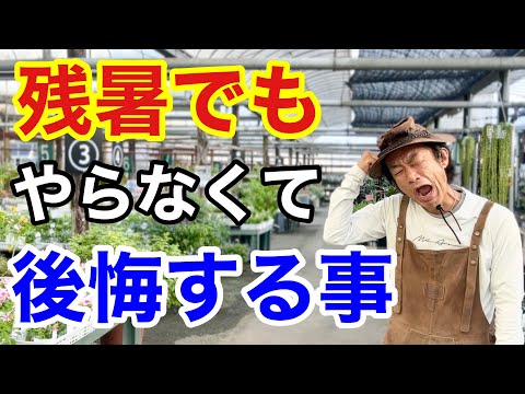 9月のガーデニング、絶対に外せない3つの重要タスク