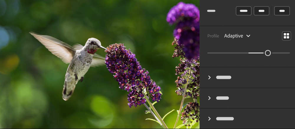 Adaptive Profiles in Adobe Lightroom