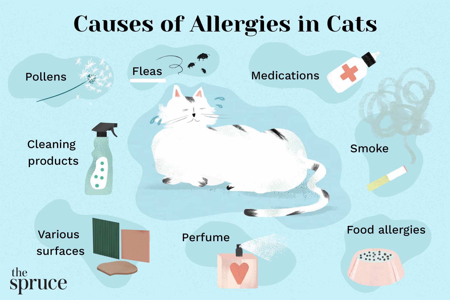 Causes of Allergies in Cats