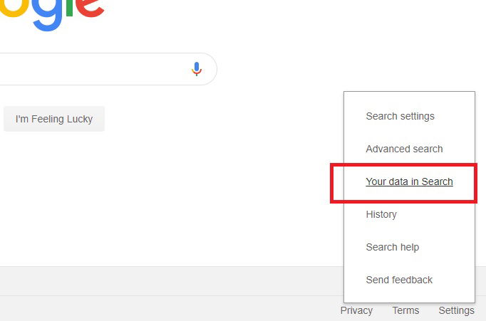 Anonymize Google Your Data 1