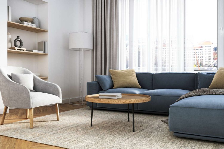Area Rug Living Room