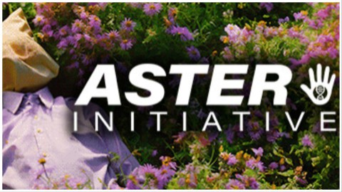 Fans Of Five Nights At Freddy’s Will Love Upcoming Horror, Aster Initiative