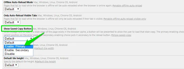 Best-Chrome-Features-Enable-Offline-Mode