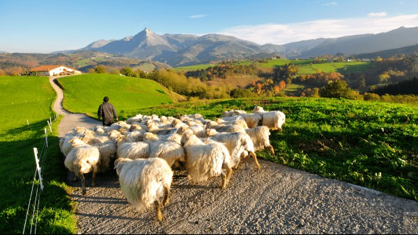 The History And Mystery Of Basque, Europe’s Most Isolated Language