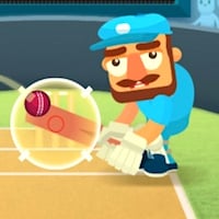 CRICKET HERO
