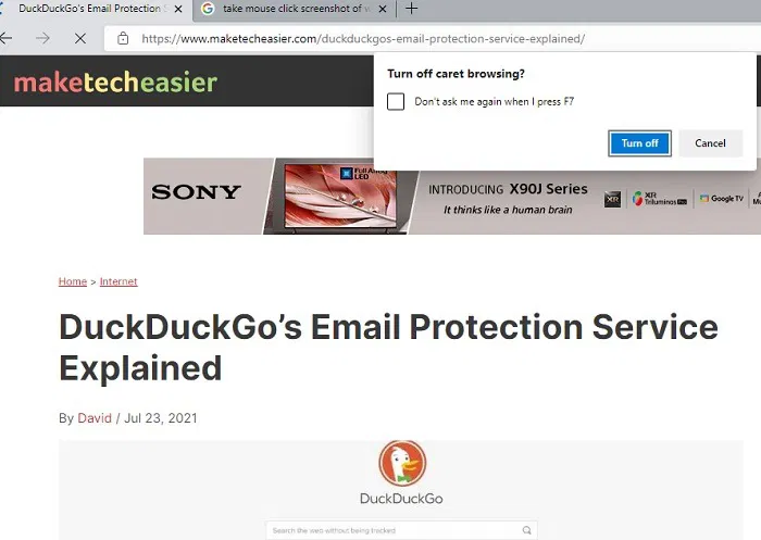 Caret Browsing Turn Off