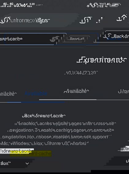 Chrome Android Flags Back Forward Cache