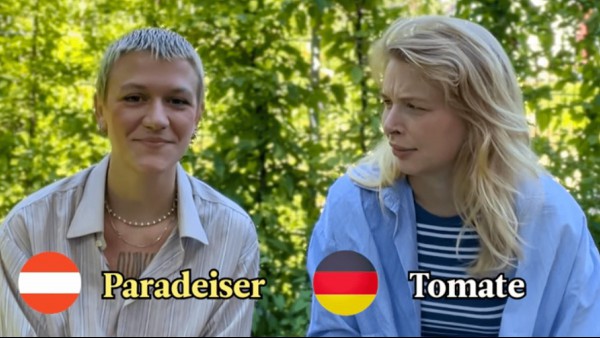 How Similar Are Austrian German And Standard German?