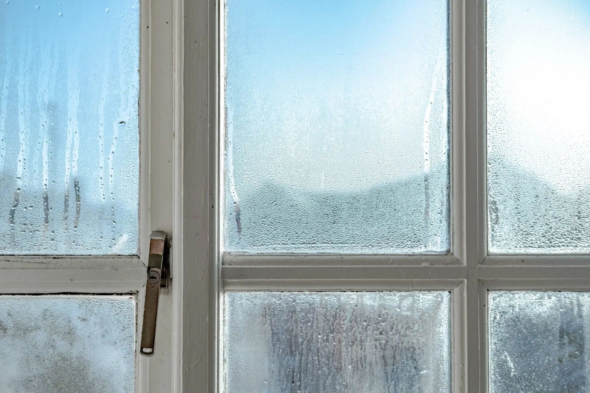 Condensation on windows.