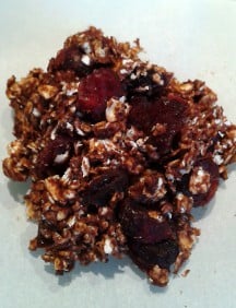 Healthy No Bake Cookies