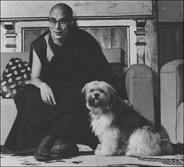 The Dalai Lama and his Tibetan Terrier dog