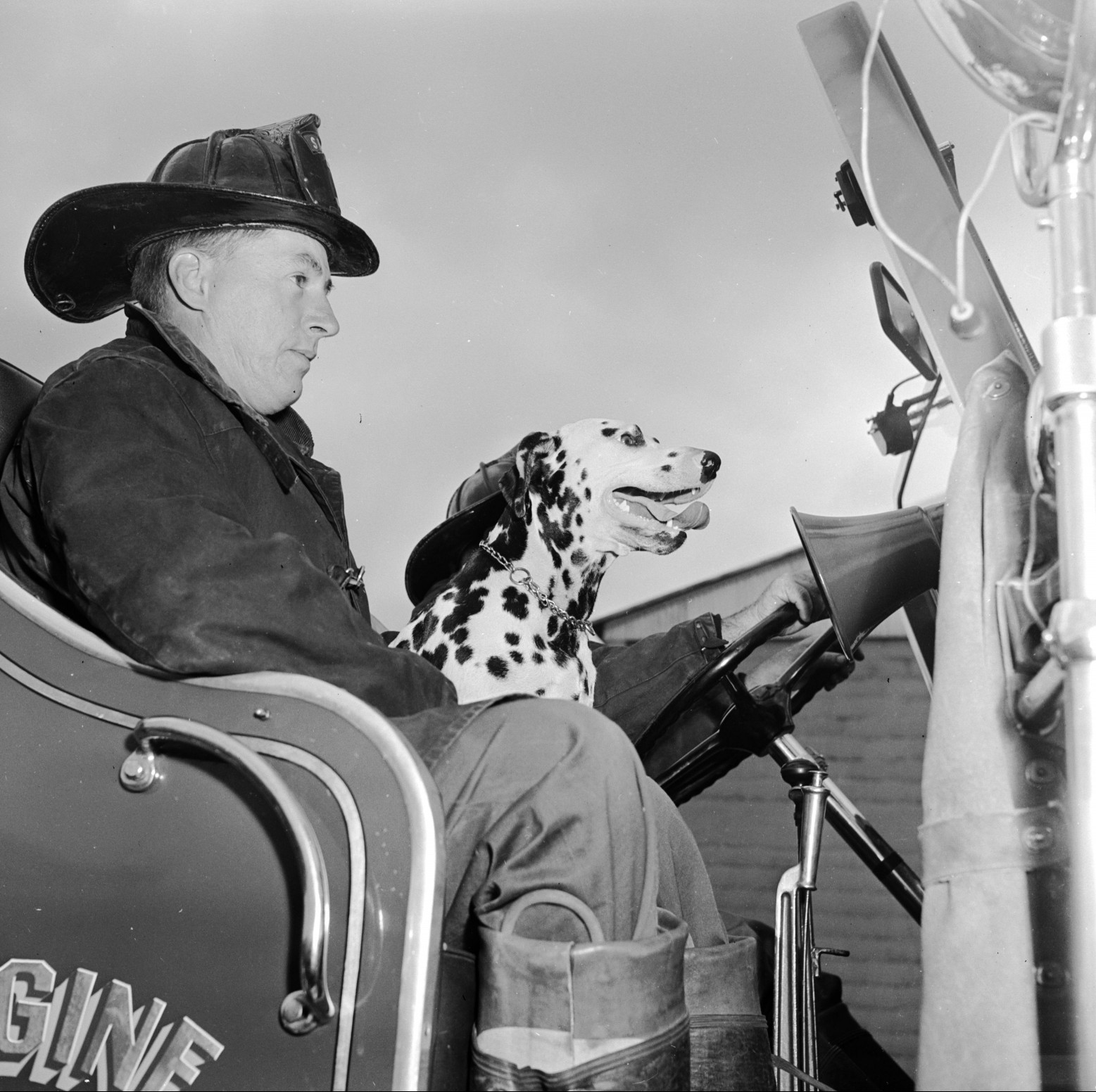 Spanner the dalmatian fire dog at the South Portland Fire Department, Cash Corner Station in the USA.