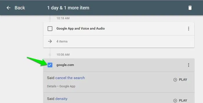 Delete-Google-Voice-Search-Checkbox