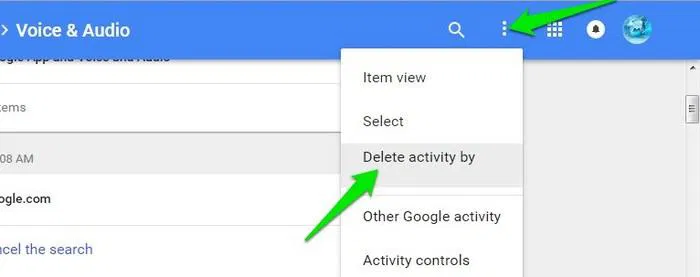 Delete-Google-Voice-Search-Delete-Activity-by