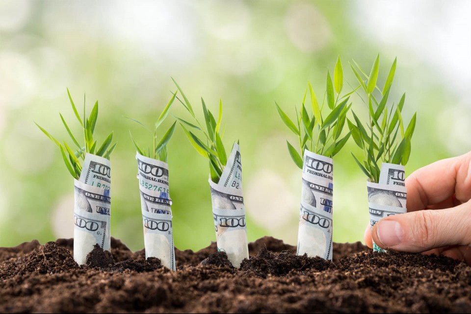 Lucrando com Impostos: Nichos Secretos para Maximizar Seus Ganhos Lucrando com Impostos: Nichos Secretos para Maximizar Seus Ganhos