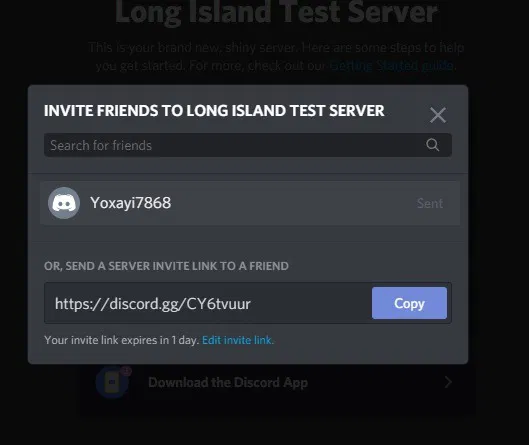 Discord Screenshare Invite Friends Testserver