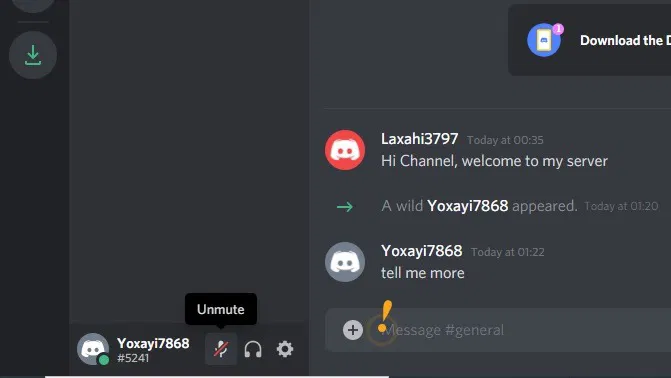 Discord Screenshare Unmute